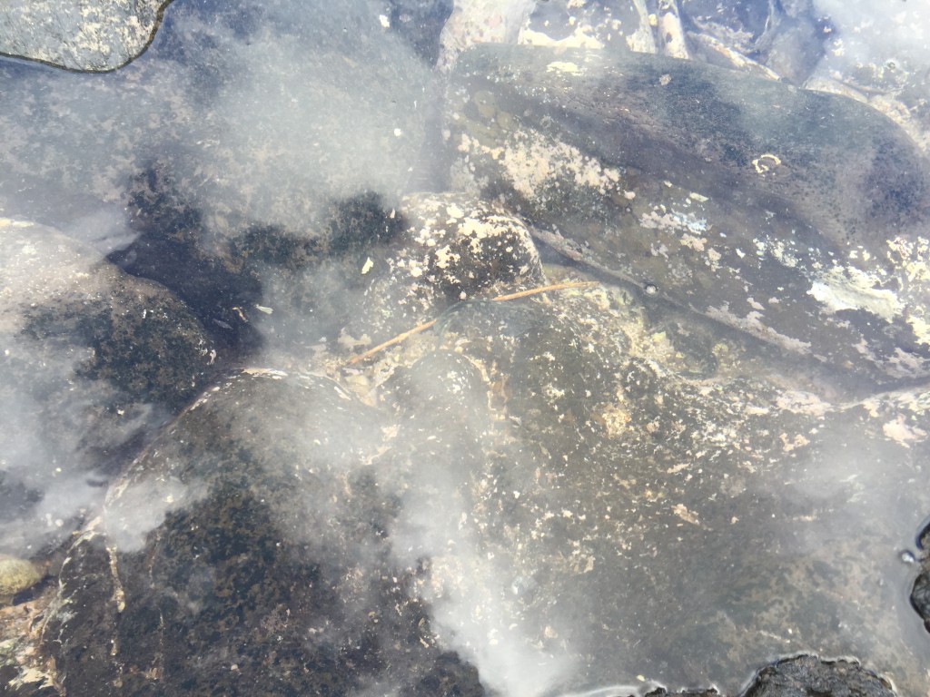 2015-05-16 10.27.38