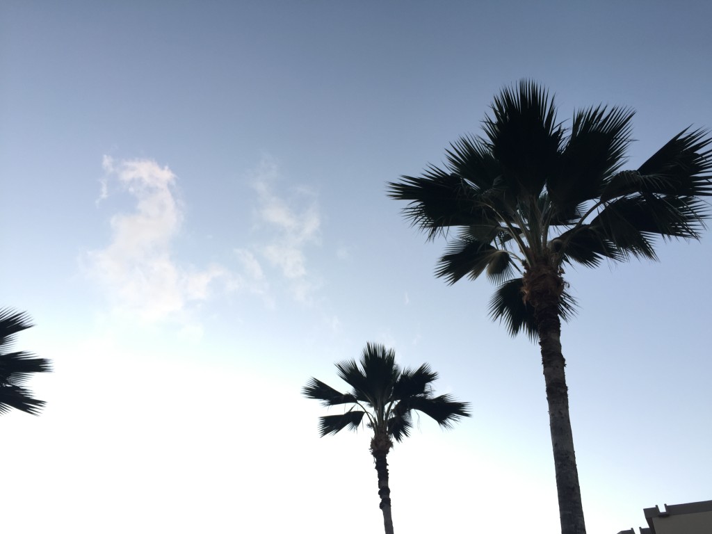 2015-05-16 18.58.17